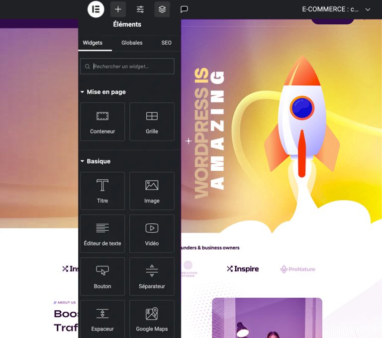 formation-wordpress-nice.jpg